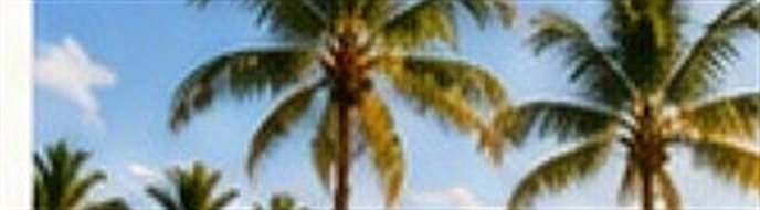 Longer-Term Property Care